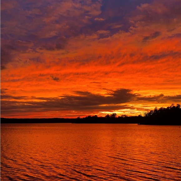 Meet your Posher, Eddie - Picture 3 of 3